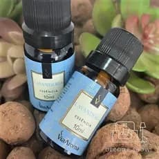 Essência Para Aromatizador Elétrico 10ml Essência Lavanderia Via Aroma