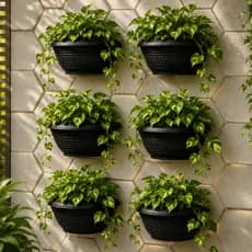 Conjunto 6 Vasos para Plantas Parede 1,7 Litros Meia Lua Decoração Casa