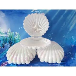 Kit 12 Conchas Marinha Sereia Pérola Branca Lembrancinha Decoração