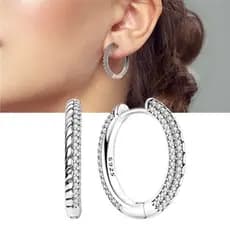 Brincos femininos S925 prata elegante brincos adequados para mulheres presentes de joias de aniversário