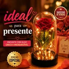 Rosa Encantada com Luz LED Flor Eterna Decorativa em Cúpula de Acrílico presente Dia das Maes Namorados Aniversario