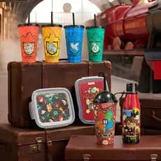 Kit Lanche Pote e Copo Divertido Harry Potter Plasútil