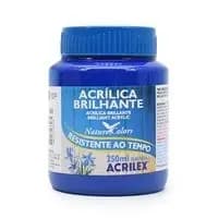 Tinta Acrilica Brilhante 250ml 501 az Turqueza