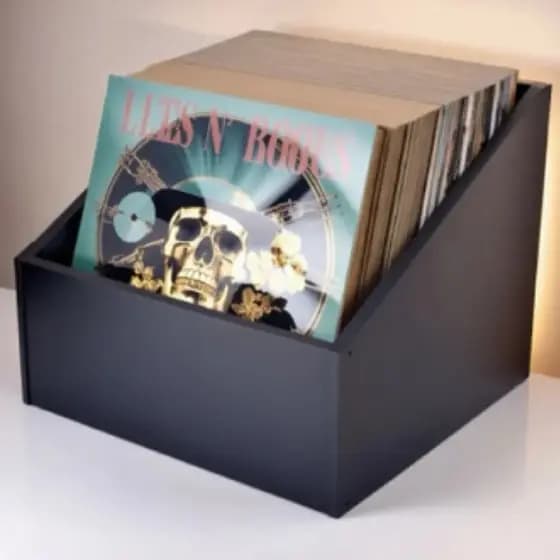 Nicho organizador para discos Lp vinil slim mdf