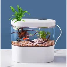Mini Aquário 1.5L Oval De Mesa Em Miniatura Com Sistema De Filtragem e LED