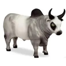 Brinquedo Boi Touro Branco Coleção Farm Animais Da Fazenda Fazendinha Realista - Bee Toys