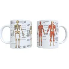 Caneca Medicina Anatomia Sistema Esquelético e Muscular 325 ml Porcelana