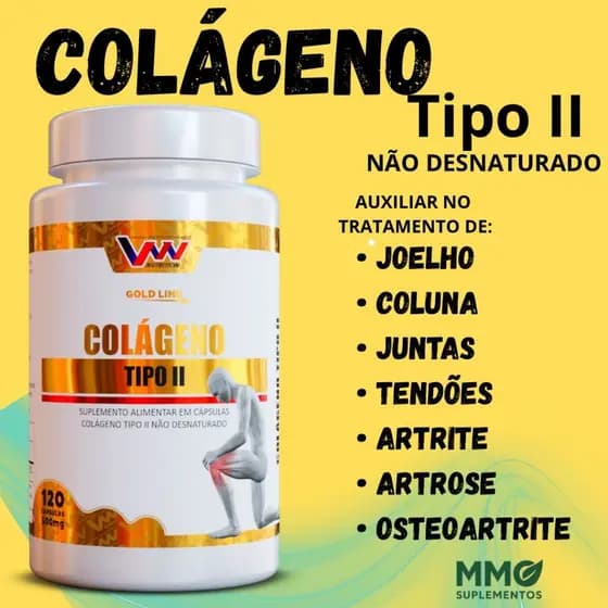 Colágeno Tipo 2 Não desnaturado - 120 Cápsulas - joelho - coluna - artrite - artrose