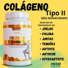 Colágeno Tipo 2 Não desnaturado - 120 Cápsulas - joelho - coluna - artrite - artrose