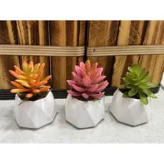 Kit c/ 3 arranjos suculenta artificial vaso de gesso(Tricolor)