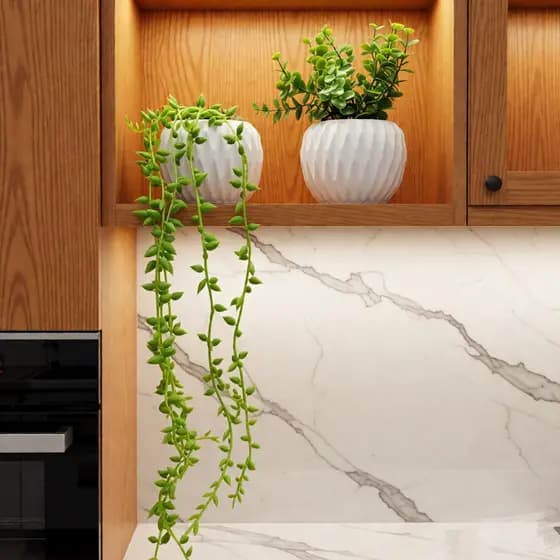 Kit com 2 Arranjos de Planta no Vaso Redondo de Gesso