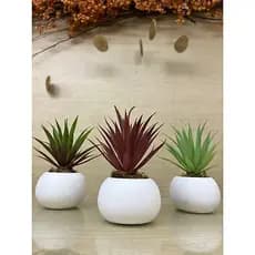 Planta Artificial Tillandsia com Vaso Branco de gesso, Suculenta Falsa Decorativa 3 Cores, Decoração Mesa Escritório