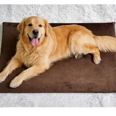 Colchão Colchonete Pet E Gatos Cama Luxo Lavável Com Ziper Lavável No Suede