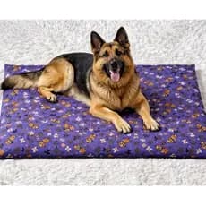 Colchonete Pet Gato cama Colchão Com a Capa Lavável e Zíper 100x60x5 e 70x40x5 Modelo novo