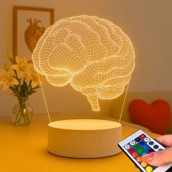 Luminária Led 3d Cerebro Para Presente Criativo Neurologista Abajur Geek Amigo Nerd  Decoração de Consultório Médico