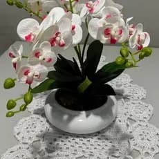 Ikebana Vasinhos Para Arranjo Centro de Mesa Bacia Cerâmica Orquídea Suculentas Tam P