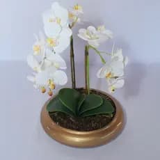 Vaso Decorativo Bacia Orquídea Suculentas | Escolha a Cor