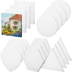 Telas para  pintura 5 formatos 20 unidades