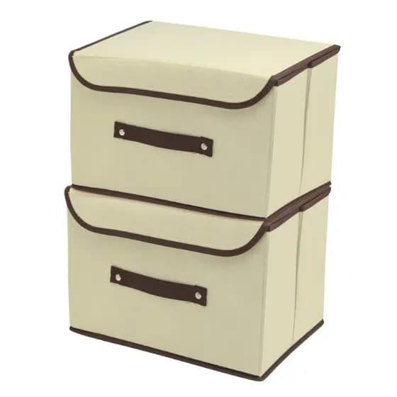 Kit 2 Caixas Multiuso Organizadora Colors Dobravel TNT para Armários Guarda Roupas