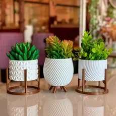 Kit de Vasos Cachepot Minimalista Texturas Vasinho Sala Decoração Delicada para Plantinhas Cactus não acompanha planta