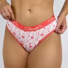 Kit Com  5 Calcinhas Tanga Algodão Elástico Exposto Cotton