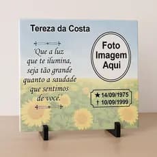 Lápide Azulejo Personalizado Para Túmulo 20x20 Com foto