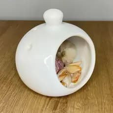 Porta Alho Alheiro Cebola Condimentos Pequeno Feito em Cerâmica Varias Cores Envio Imediato!!