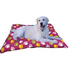 Cama Cachorro e Gato Cama Pet Grande Colchonete Pet Preço de Fábrica