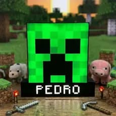 Luminária Gamer Creeper Nome Personalizado 16cm - Minecraft