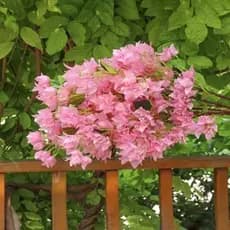 Buquê com 12 Flores de Primavera Artificiais - Décoração para Varanda