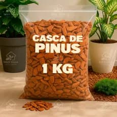 Casca de Pinus Polida 10L (1 kg) – p/ Vasos, Jardins, Paisagismo e Decoração | Vaso e Cia
