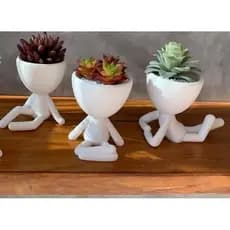 kit Vaso suculenta  3 unidades robert plant vasos arranjos