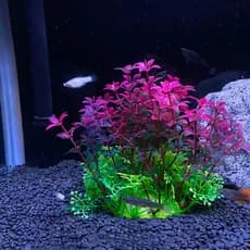 Planta Artificial Decorativa Para Aquário 13cm M530