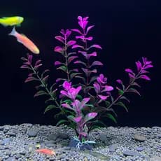 Planta Artificial Aquario Enfeite e Decoração 20cm S833