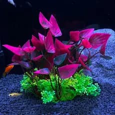 Planta Artificial Decorativa Para Aquário 13cm M532