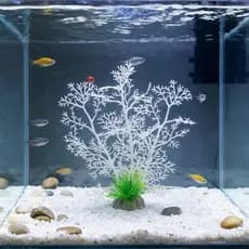 Planta Artificial Aquario Enfeite e Decoração 19cm Branco czu89
