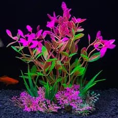 Planta Artificial Decorativa Para Aquário 14cm P523