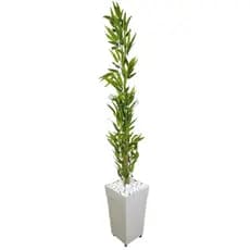 Planta Artificial Bambu Mosso Da Sorte  Com Vaso Grande Decorativo 1,30 Metro Decoração Enfeite Sala Casa