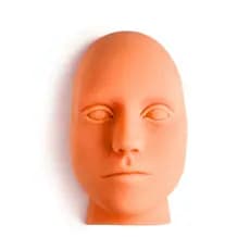 Modelo Anatomico Rosto Face ParaTreinamento Harmonização Facial Orofacial Micropigmentação