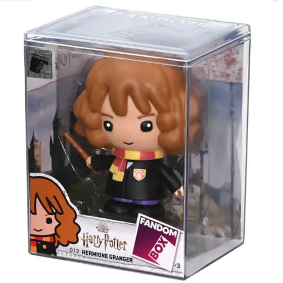 Hermione coleção Harry Potter Fandom Box - Caixa Acrílica Decorativa Premium