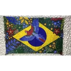 Canga De Praia Saida De Praia Feminina Estampada Poliéster Bandeira do Brasil Tropical Araras