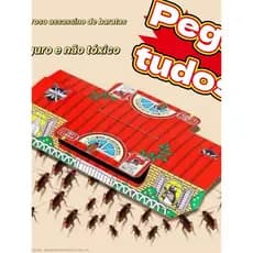 3/5 Peças De Casa De Baratas , Forte Para Matar E Pegajosa , Capturando Matando