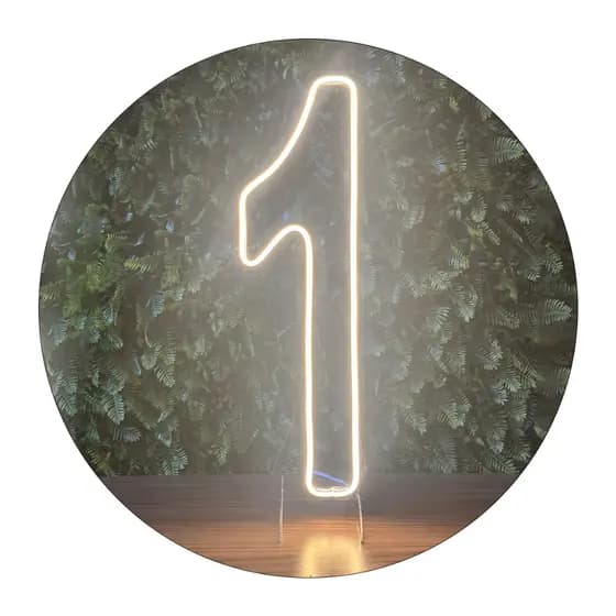 Número Painel LED Neon 50cm