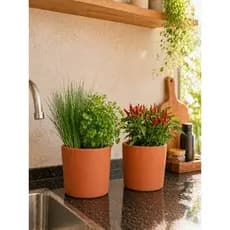 Kit 2 Vasos de Barro Cilindro Premium p/ Plantas e Temperos 🌿 Decoração Gourmet + Drenagem