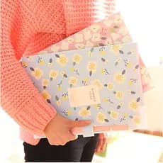 6-Pocket A4 Pastas De Arquivo Expansor De Plástico Organizador De Documentos Pasta De Envelope Papel Transparente Estilo Coreano Estacionário Material De Escola & Escritório