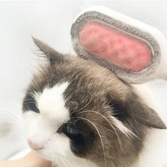 Removedor De Pelos Para Cães Escova Gatos Pet Aparador