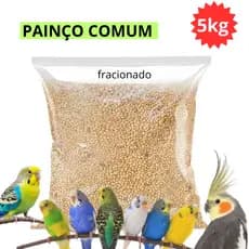 Painço Comum Fracionado 5kg Pássaros calopsita Periquito Coleiro