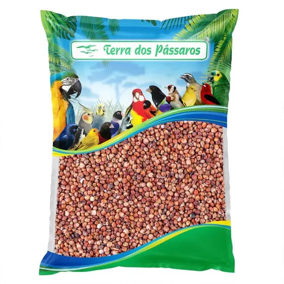 Sementes de Sorgo Vermelho para Pássaros - 500g