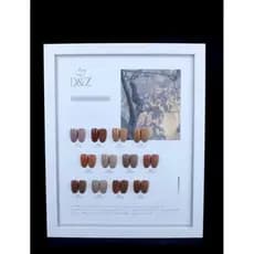 Kit esmaltes em gel 12 cores D&Z coleção premium alta pigmentação manicure nail designer