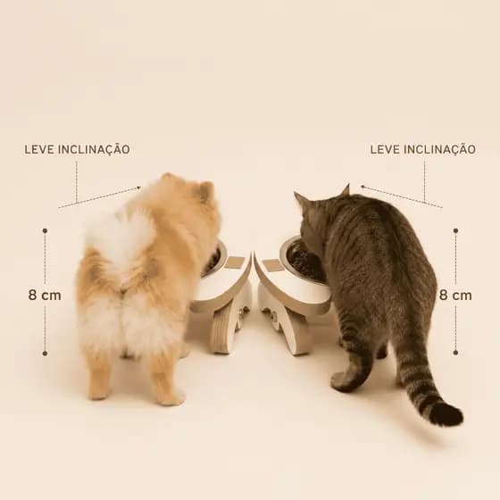 Comedouro Elevado Ergonômico Gato e Cachorro Pequeno Porte
